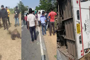 11 killed as bus flips trying to avoid hitting biker in Maharashtras Gondia