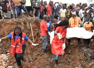 Death toll in eastern Uganda mudslide rises to 20: police