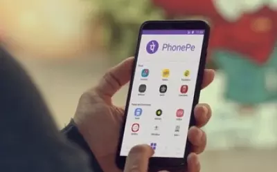 PhonePe launches insurance for dengue, malaria at Rs 59 per year