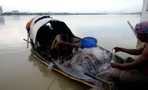 Fisherfolk seek withdrawal of Marina beach project, to meet Chennai corporation commissioner