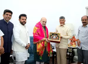 Andhra CM Naidu calls on Amit Shah