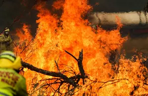 Firefighters continue to battle out-of-control bushfires in Australias Victoria