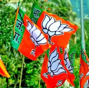 Change in guidelines might see Kerala BJP head getting another term