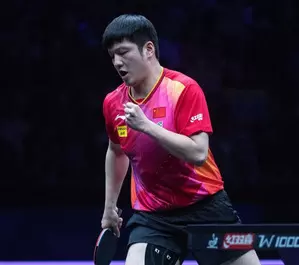 Chinese table tennis stars Fan and Chen quit world rankings