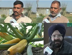 This govt is helping farmers the way a father helps son: Samba farmer on growing exotic vegetable