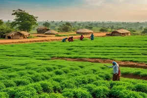 Area sown under rabi crops rises to 614.94 lakh hectares