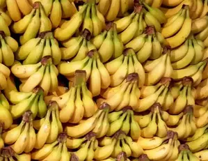 India targets $1 billion banana exports as sea route trial proves successful