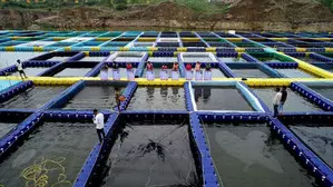 Chhattisgarh women use shut stone quarries for fish farming