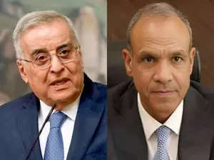 Egypt, Lebanon urge non-interference in Syrias transition