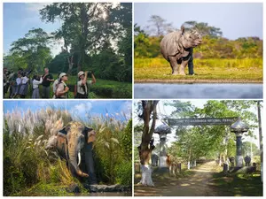 Record tourist footfall in Kaziranga following PM Modis visit: Assam CM