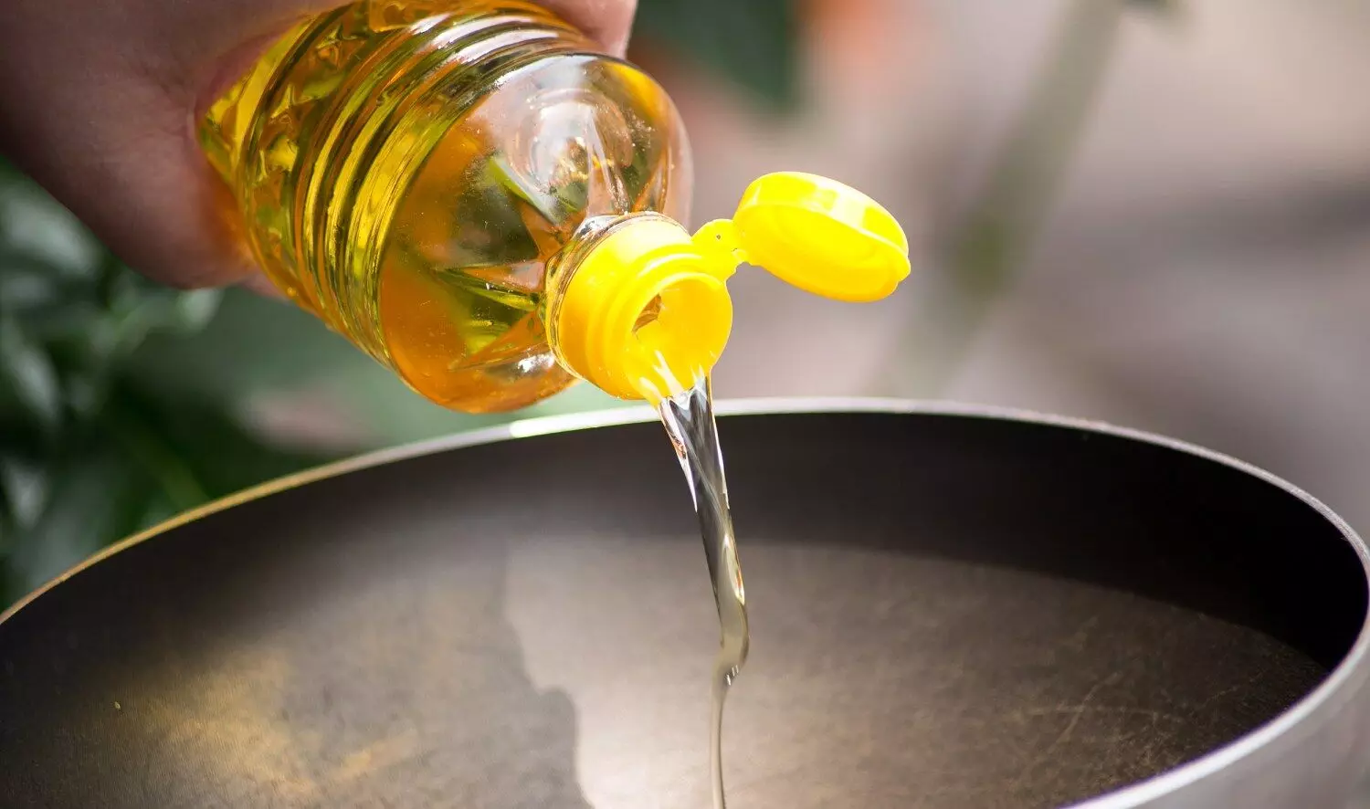 Your cooking oil can cause cancer; Dangers of seeds oil revealed, know the safe alternatives