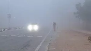 Dense fog reduces visibility in different parts of Rajasthan