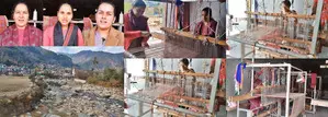 Himachal women weave dreams of golden future via handloom enterprise