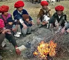 Fatehpur shivers at 1.1 degrees as cold wave sweeps Rajasthan