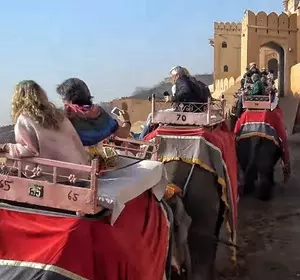 Amer Fort elephant ride fixed at Rs 1,500, to see 5 pc annual hike