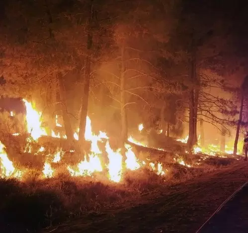 Tragic toll: At Least 11 confirmed dead as wildfires ravage Los Angeles