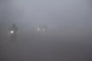 Dense fog in Delhi-NCR: 184 flights delayed, 26 trains running late (Ld)