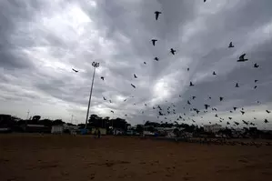 Weather department predicts heavy rain in nine TN districts