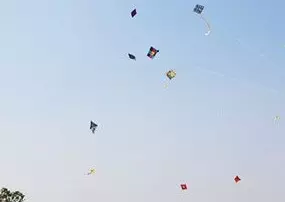 Kite-flying claims four lives in Telangana