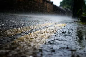 Heavy rain in TNs Tenkasi, restrictions imposed at Courtallam waterfalls