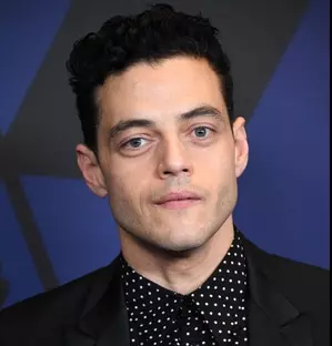 When Los Angeles police threw Rami Malek on the LAPD car bonnet