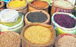 Centre to step up procurement of pulses from farmers in Rabi marketing season