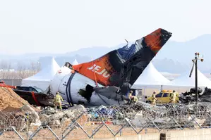 Jeju Air plane received bird activity warning one minute before black box stopped (Ld)