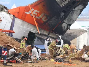 Jeju Air plane received bird activity warning 1 minute before black box stopped