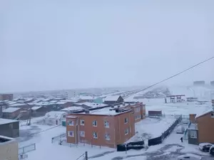 Overnight temperature drops to minus 44.4 degrees celsius in western Mongolia